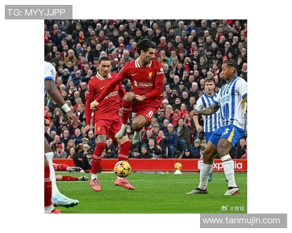 1月12日布莱顿对阵利物浦精彩直播全程回顾与赛后分析