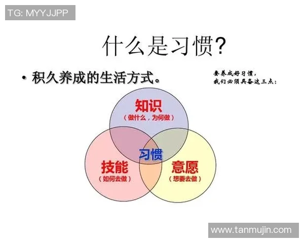 竞技运动团队合作与个人技能的完美融合与挑战解析